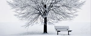 Превью обои скамейка, снег, зима, дерево, минимализм