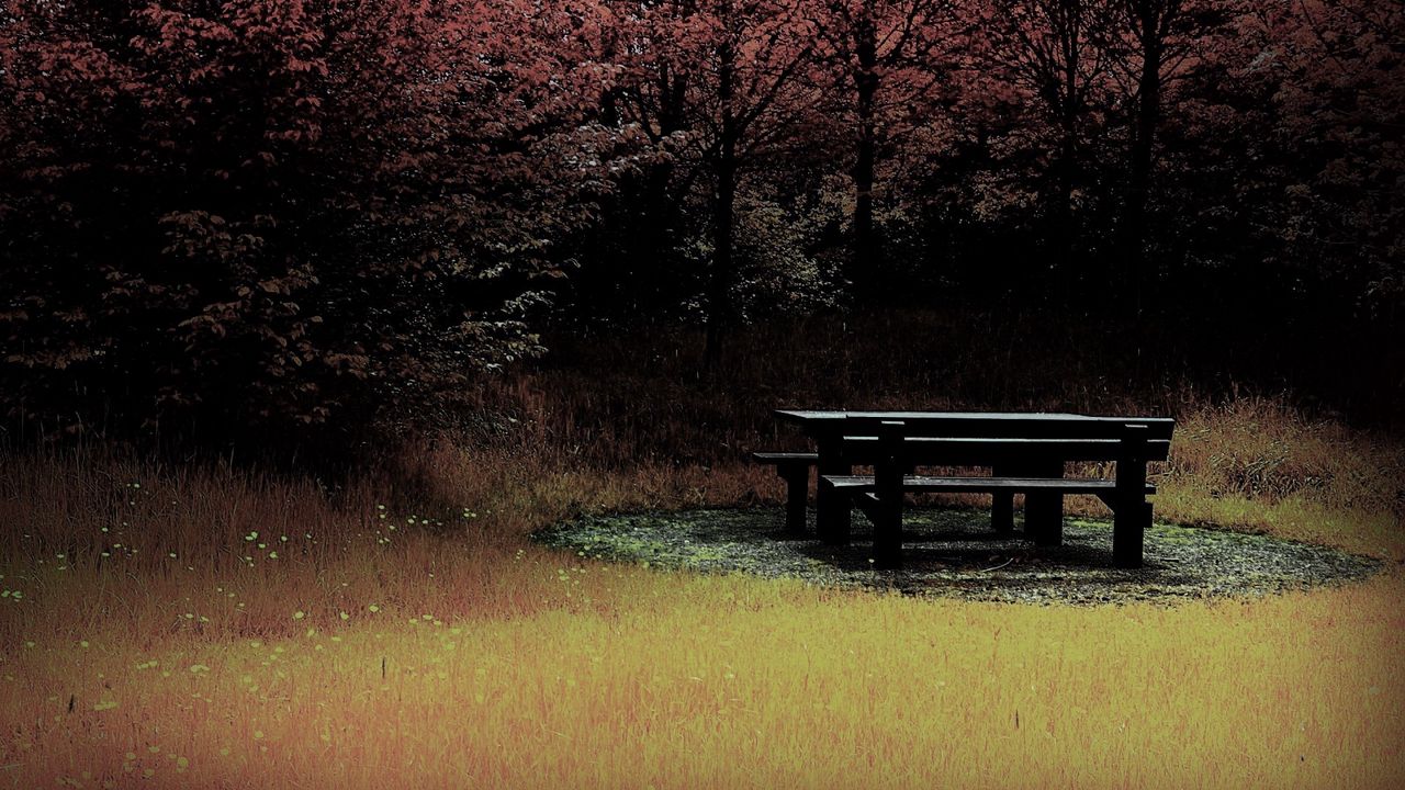 Обои скамейка, стол, лес, поляна, осень
