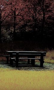 Превью обои скамейка, стол, лес, поляна, осень