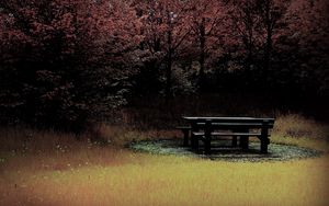 Превью обои скамейка, стол, лес, поляна, осень