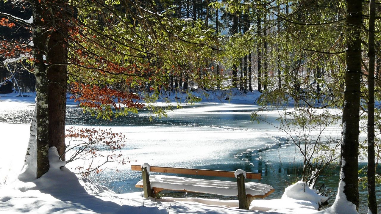 Обои скамейка, весна, берег, озеро, лед, таяние, снег, деревья