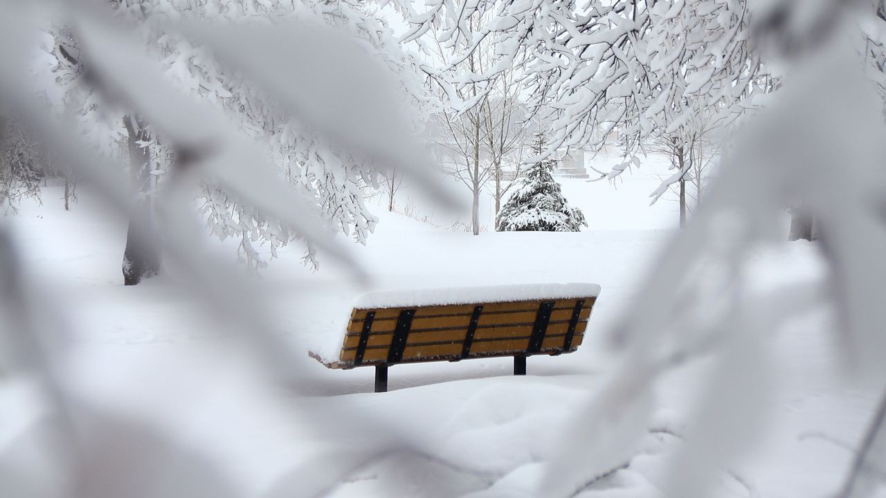 Обои скамейка, зима, снег, ветки, минимализм