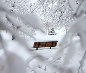 Превью обои скамейка, зима, снег, ветки, минимализм
