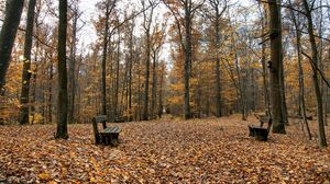 Превью обои скамейки, парк, листья, осень, пустота, напротив