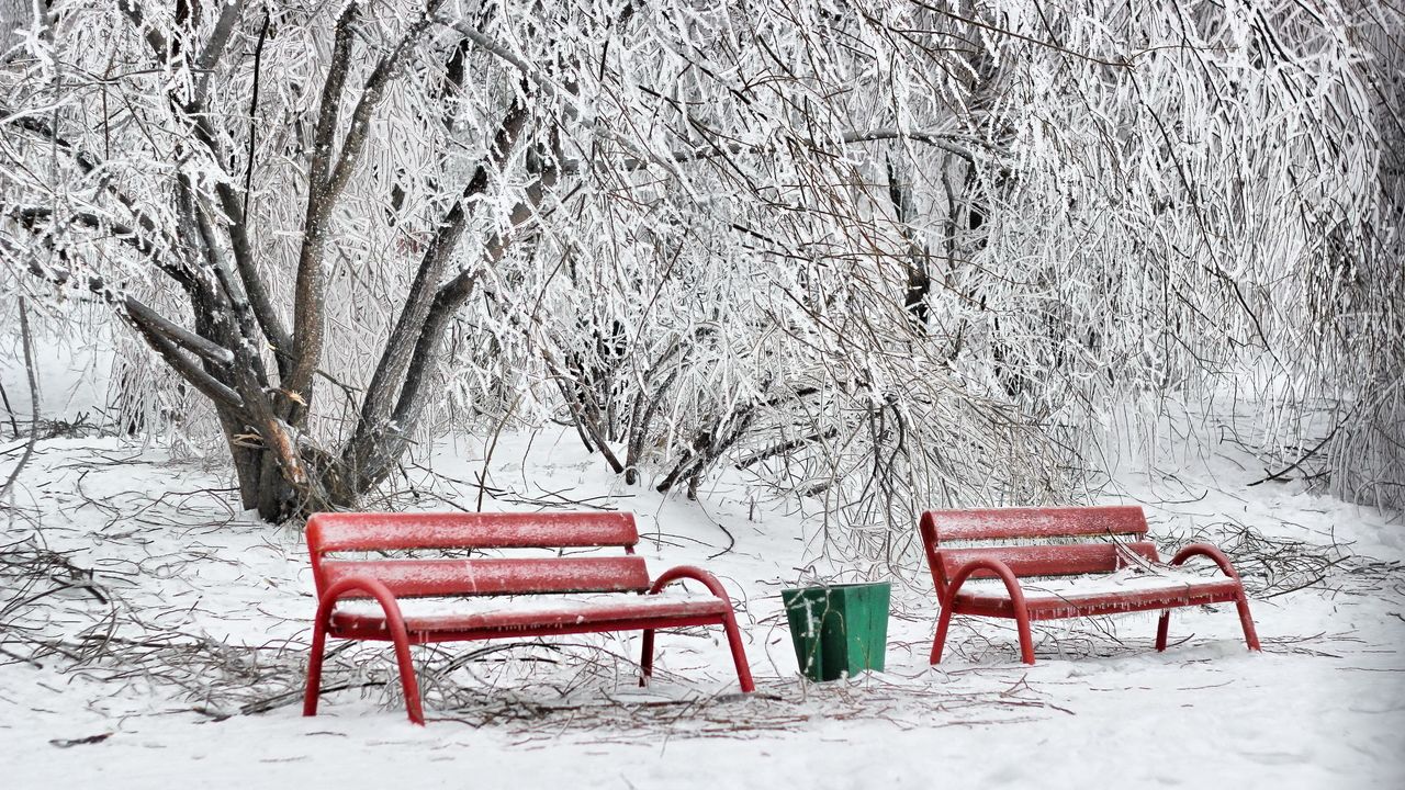 Обои скамейки, зима, иней, снег, холод, урна, красные