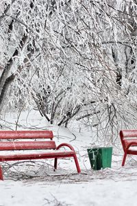 Превью обои скамейки, зима, иней, снег, холод, урна, красные