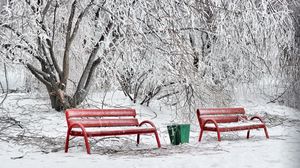 Превью обои скамейки, зима, иней, снег, холод, урна, красные