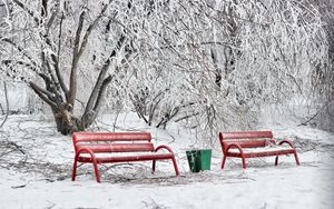 Превью обои скамейки, зима, иней, снег, холод, урна, красные