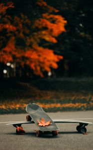Превью обои скейт, скейтборд, асфальт, листья, осень