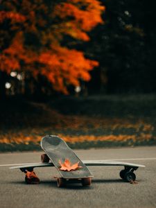 Превью обои скейт, скейтборд, асфальт, листья, осень