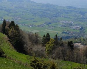 Превью обои склон, деревья, долина, трава, пейзаж