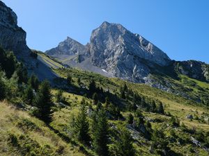 Превью обои склон, деревья, гора, пейзаж, природа