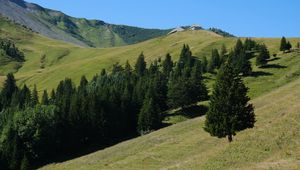 Превью обои склон, деревья, горы, трава, пейзаж