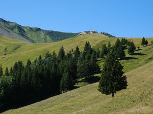 Превью обои склон, деревья, горы, трава, пейзаж