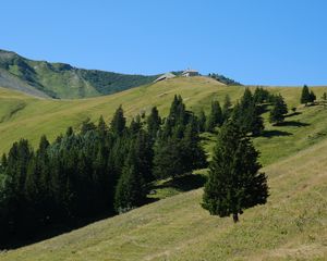 Превью обои склон, деревья, горы, трава, пейзаж