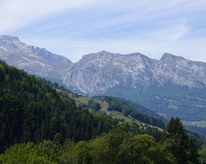 Превью обои склон, деревья, горы, природа