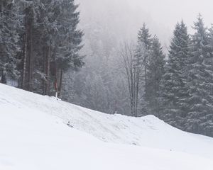 Превью обои склон, деревья, снег, метель, зима