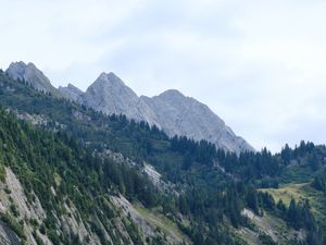 Превью обои склон, деревья, трава, горы
