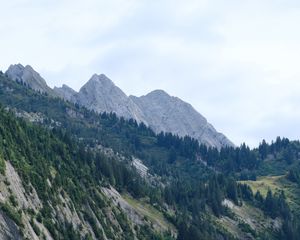 Превью обои склон, деревья, трава, горы
