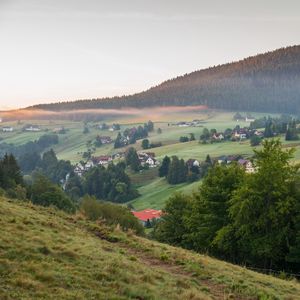 Превью обои склон, дом, деревья, лес
