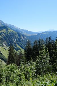Превью обои склон, гора, деревья, лес, небо, вид
