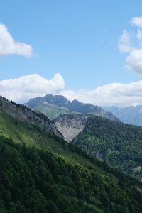 Превью обои склон, горы, деревья, трава