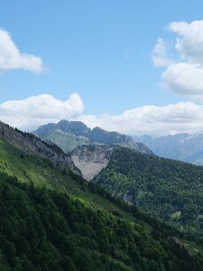 Превью обои склон, горы, деревья, трава