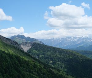 Превью обои склон, горы, деревья, трава