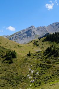 Превью обои склон, горы, трава, камни, деревья