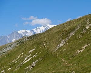 Превью обои склон, горы, трава, снег, природа