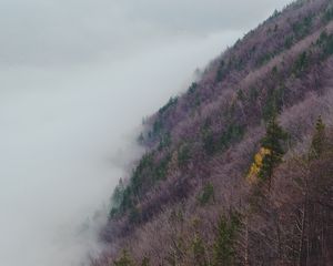 Превью обои склон, холм, трава, туман