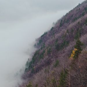 Превью обои склон, холм, трава, туман