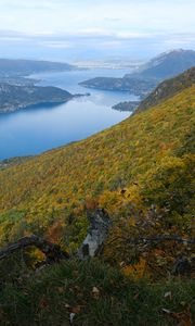 Превью обои склон, холмы, деревья, озеро