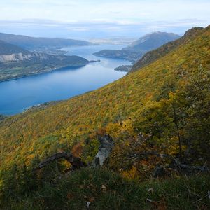 Превью обои склон, холмы, деревья, озеро