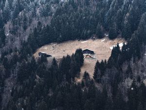 Превью обои склон, лес, домик, гора, снег