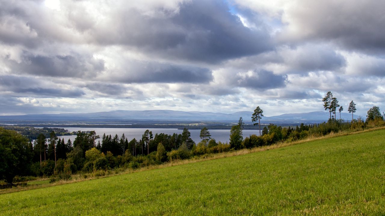 Обои склон, поле, деревья, даль, облака