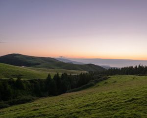 Превью обои склон, равнина, трава, деревья, пейзаж