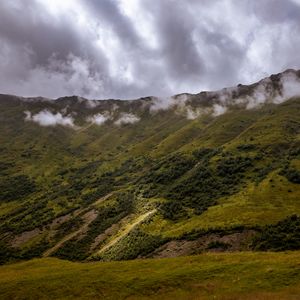 Превью обои склон, рельеф, трава, деревья, облака, небо