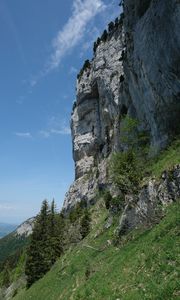 Превью обои склон, скала, деревья, трава