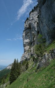 Превью обои склон, скала, деревья, трава