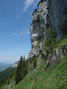 Превью обои склон, скала, деревья, трава