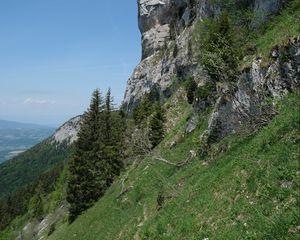 Превью обои склон, скала, деревья, трава