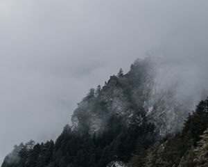 Превью обои склон, скалы, деревья, туман, мрак