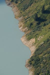 Превью обои склон, трава, деревья, кусты, природа