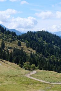 Превью обои склон, трава, деревья, природа