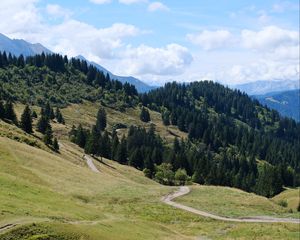 Превью обои склон, трава, деревья, природа