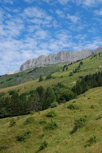 Превью обои склон, трава, деревья, горы, природа