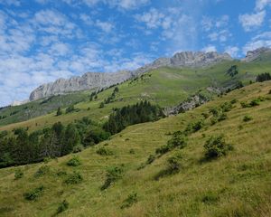Превью обои склон, трава, деревья, горы, природа