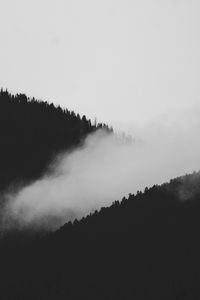 Превью обои склон, туман, чб, деревья, лес