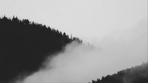 Превью обои склон, туман, чб, деревья, лес